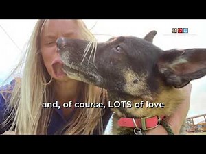 Cheyenne and Simba Go Home After Backbone Fire 2021