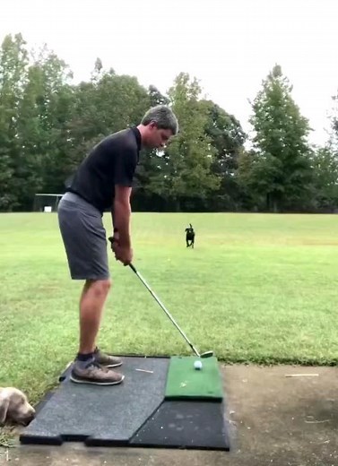 😍😍😍😍😍 Por eso dicen que es el mejor amigo del hombre. 🐶 Y no solo eso, también del golfista. ⛳️👏🏻 | Golf Channel Latin America