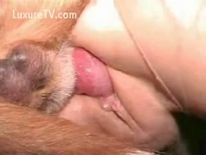 Huge dog knot unloading his big load deep inside some sluts hole