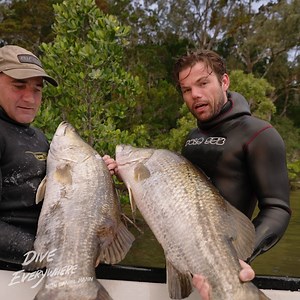 Giant barramundi spearfishing | Daniel Mann - Dive Everywhere