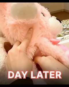 1.3K views | I’m 70. My daughter Emily died a year ago, asking me to care for her kids because her husband Tom couldn’t. Tom couldn’t hold a job or care for them. I got custody, but he still visited and threatened to take the kids away. He gave my grandson a teddy bear with a hidden AirTag inside—a tracking device. That’s when I knew Tom’s plan was worse than I imagined. (check in the first comment) | Lovely Tips | Facebook