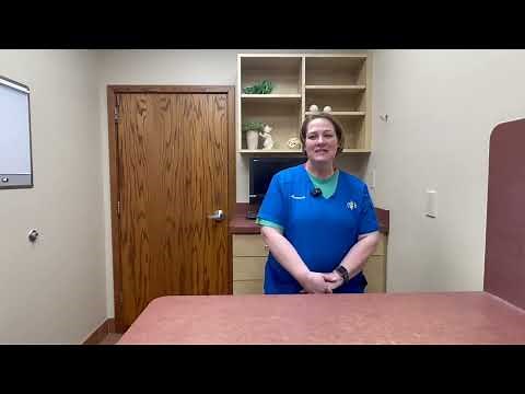 How to Build an Outdoor Cat House