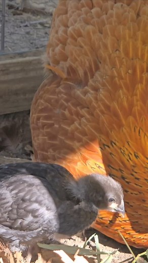 Little ones always need example! | Stenelle Brooks Brewer