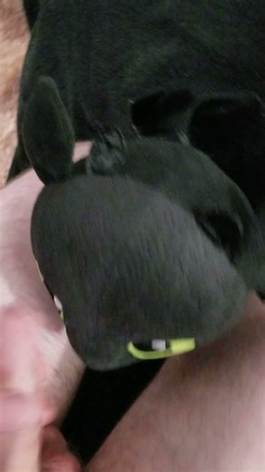 BAB Toothless plush facial