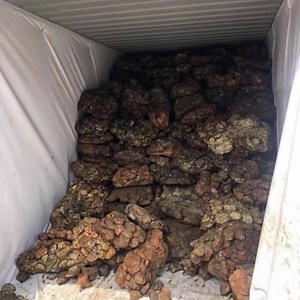 [Hot Item] Sea Shipping Bulk Container 20FT 100% Virgin PP Woven Container Dry Bulk Container Liner for Granular or Power