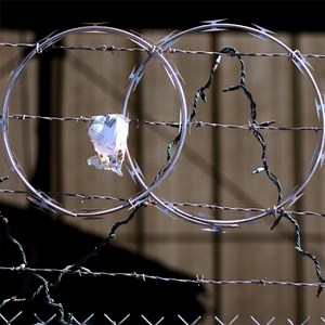 [Hot Item] Coil Diameter Concertina Razor Barbed Wire 50X50mm Hole Concertina Razor Barbed Wire with Pallet