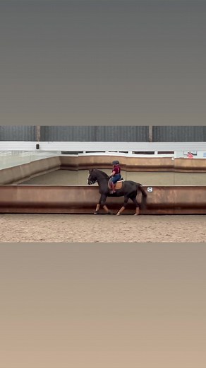 Pirouette Practice on HRH 👑🥰😍. #dressage #yardlife #equestrian#dressagerider #dressagetraining #equestrianlife #horses #dressagehorse #blackhorse #chestnuthorse#poweredbyprotexin #wellgelproducts #drimee #sophieplummerjonestherapy#jemmabeattyedt #fedonsaracenshorsefeeds #oshdressage | OSH Dressage