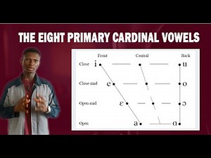 THE PRIMARY CARDINAL VOWELS #phonology #linguistics #howtoimprovespokenenglishintamil #english