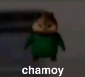 Ultimate shitpost status compilation