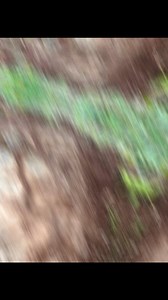 12K views · 3K reactions | Treasure hunting found Turtle back spot indication markings #jmdcompass #fbreels #fypシ゚ #treasurehunt #reels #trend #virals #everyone #JmDCompass | Jm D Compass | Facebook