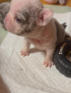 Jekka Marie Saez on Reels