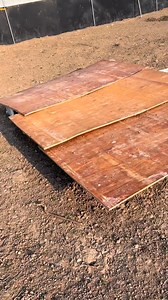 Feeding wild rabbits #rabbits #animals | نجوم صيد البر