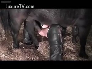 Incredible homemade beast fucking movie featuring MILF and horse