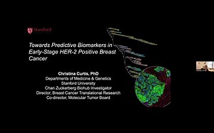 Towards Predictive Biomarkers in Early-Stage Her2 Positive Breast Cancer