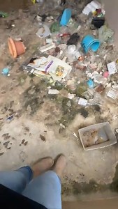 ¡Tu hogar merece brillar! ✨ La Chica de la Gorra Rosa se especializa en limpieza profunda de espacios difíciles. 📲Llama ahora: 787 387 0026 ¿Casa bomba? ¡No hay problema! Con nuestro equipo experto, tu hogar quedará impecable en tiempo récord. ⏰ Servicios: * Limpieza profunda * Desinfección * Organización 📲Contacto: 787 387 0026 | Las Chicas de las Gorras Rosas