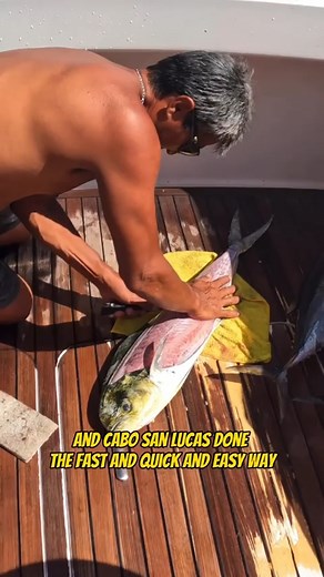 The Fastest Dorado Fillet in Cabo San Lucas! Join “Your Saltwater Guide” today with 400 howto videos showing and teaching you the ways of Saltwater Fishing including an active fishing community posting fish reports for Southern California every day on my mobile app! Join in on the action! Your Saltwater Guide App Available Now on the App Store & Google Play Store! Your Saltwater Guide is Sponsored by Promar & Ahi USA. #doradofishing #dorado #mahimahi #fish #filletingfish #fishfillet #sportfishin