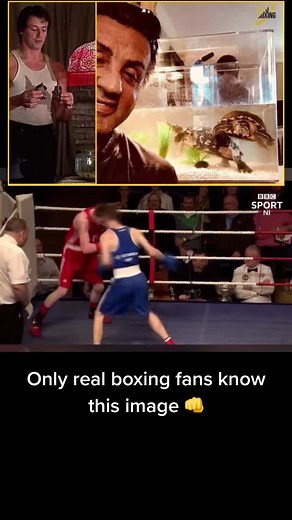 HALE STORM ⛈ on TikTok