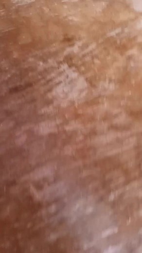 🐢 💜 💙 🧡 ♥️ Turtle in a half shell 😉 | Kayla Nicole Klein