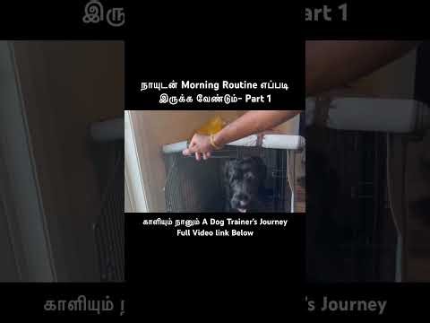 காளியும் நானும்: Dog Trainer Tamil காளியுடன் என் Morning Routine- Part 1