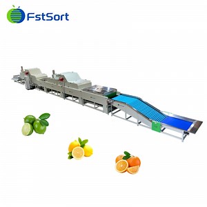 [Hot Item] High Efficiency Lemon Grading Waxing Line/Citrus Cleaning Drying Grading Sorting Waxing Line