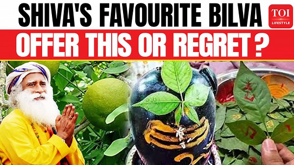 Why Is the Bilva Leaf Revered for Centuries? Sadhguru’s Fascinating Answer