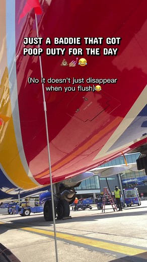 Airplane Toilet Waste: What Happens After You Flush?