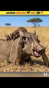 126K views · 1.7K reactions | Cartoon characters that exist in real life #viral | anvijibalman | Facebook