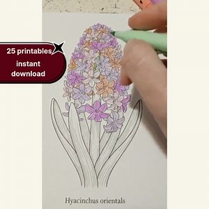 Spring Botanical Coloring Pages | Latin Plant Names | 25 Adults Printable Pages | Instant Download PDF - Etsy