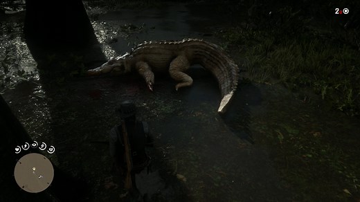 Legendary Alligator (Bull Gator) Location, Skin, and Kill Guide - Red Dead Redemption 2 Guide - IGN