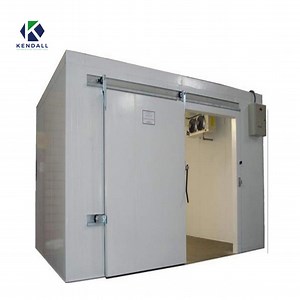 [Hot Item] Cam Lock PU Sandwich Panel Cold Room