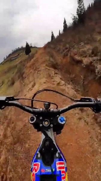 200mm Travel Downhill Fork, 26/27.5/29 inch Compatible Suspension Fork Spring Hydraulic Air MTB Adjust Straight Tube 28.6mm Bike Front Fork Black