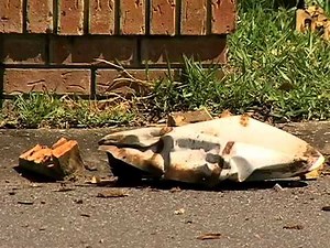 RAW VIDEODeputies investigate mailbox explosion in Seminole