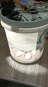 259K views · 2.3K reactions | Automatic Egg Incubator in Bucket for duck eggs | Mian Inventions | Facebook