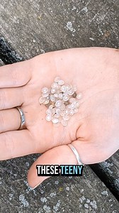 Earlier this month, PennEnvironment joined groups from across all 50 states and over a dozen countries to search our local waterways for tiny plastic pellets as part of the first ever International Plastic Pellet Count. Our volunteers found 369 plastic pellets in just 20 minutes of hunting near the Delaware River in Marcus Hook! https://environmentamerica.org/pennsylvania/updates/pennenvironment-joins-the-first-ever-international-plastic-pellet-count/ | PennEnvironment | Facebook