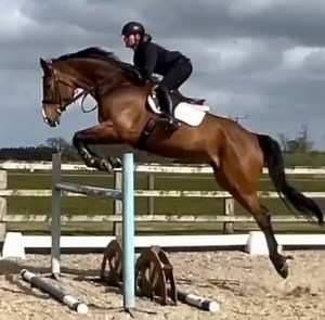 28K views · 63 reactions | CLASSY UPSTANDING GENTLEMAN EVENT / SJ /...