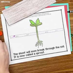 🌱 Comment "PLANTS" for the link to your interactive plant book! Perfect for Spring lessons. 🌸 | Simply Kinder