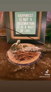 Egyptian Musk Oil 1 Oz With a Wee Touch of Pheromone Free Sample - Etsy