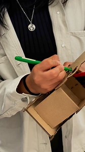 Toulouse Lautrec on Reels