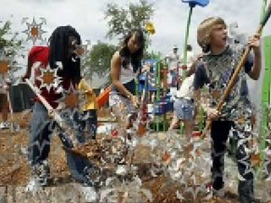 nbb episode 13 season 2