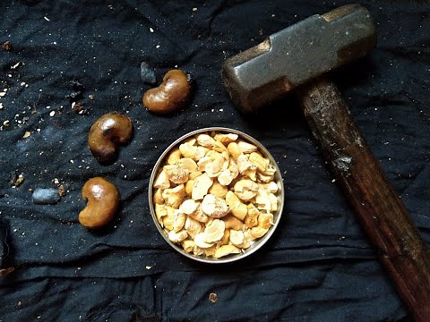Cashews | Cashew Nuts | How to extract Cashew Nut Shell Liquid | CNSL Oil