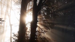 8.7K views · 2.2K reactions | Que ta vie soit enflammée ! | Moise Mbiye Ministries | Facebook