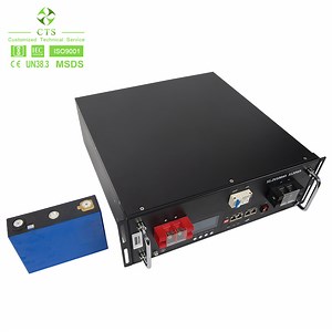 [Hot Item] Ess Solar Power System 48V 100ah 200ah 24V LiFePO4 Battery Rack