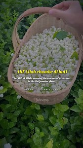 Kalaam: Sultan Bahu Sung by: Pathaney Khan #Sufinama #sufism #sufi #sufikalaam #qawwali #Sultanbahu #alifallah #themystic #reelsinsta #reelsviralシfb #reelsvideos #reelsinstagramviralvideo #reelsfb23 #philosophyoflife | Sufinama