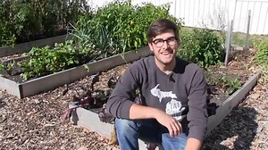 Top Vegetable Companion Planting Chart - Gardening Guide | GARDENS NURSERY