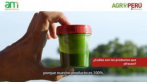 🎥 #VIDEO │ BIOESTIMULANTES A BASE DE EXTRACTO DE ALGAS El Ing. José Ignacio Muñoz, especialista en Desarrollo Técnico Chile-Perú de AgroVeca , comparte las ventajas de los bioestimulantes y fertilizantes a base de extracto de algas. 👉 AGROPERÚ Informa y AgroMarketing Latam se unen para producir videos informativos sobre diversos temas del sector agropecuario. ¡Síguenos en nuestras redes sociales! 📲 | Agro Perú Informa