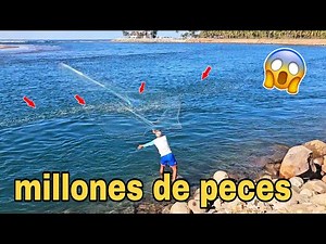 Jamás había visto una inmensidad de peces como aquí, es increíble 😱 #pesca
