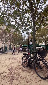 112 reactions · 15 shares | Paris, Always Amazing Place dauphine Crédit Photo: @parisdomeujeito Follow us on IG: @champselysees_paris www.champselysees-paris.com © Paris, Always an Amazing idea! #paris #igersparis #placedauphine | Champs Elysées Paris | Facebook