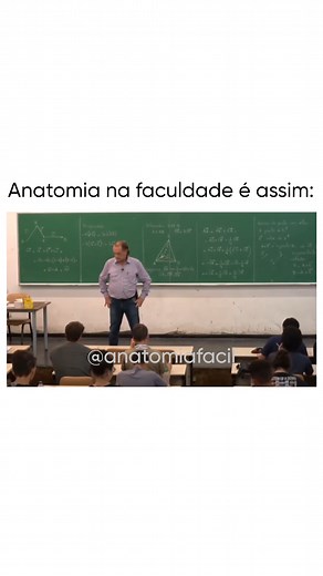 17K views · 368 reactions | É isso que os alunos de anatomia passam na faculdade! 藍 | Anatomia Fácil com Prof. Rogerio Gozzi | Facebook