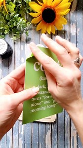 Shop here chalkvibes.com Reusable silk screen stencil, Ink or Chalk Paste, and Squeegee is all you need! #chalkvibes #2024trends #upcycle #crafting | Chalk Vibes