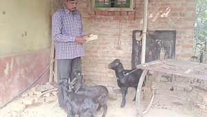 180K views · 5.3K reactions | Sagun Sakrat sanam koge #santali_vlog_video #sangita_murmu | Sangita Murmu | Facebook